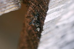 beim-Sex-006.jpg