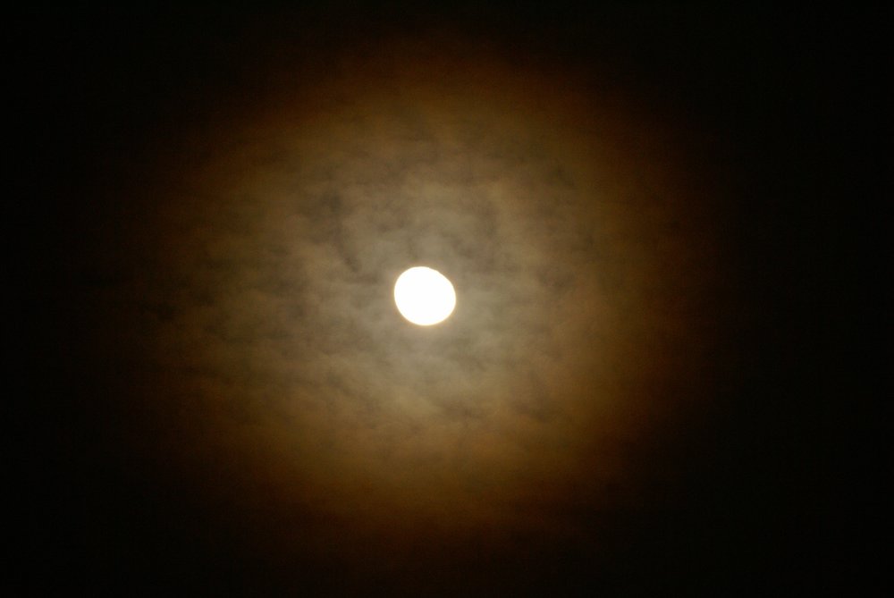Mo-008.JPG