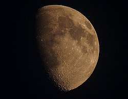 Mo-006.JPG