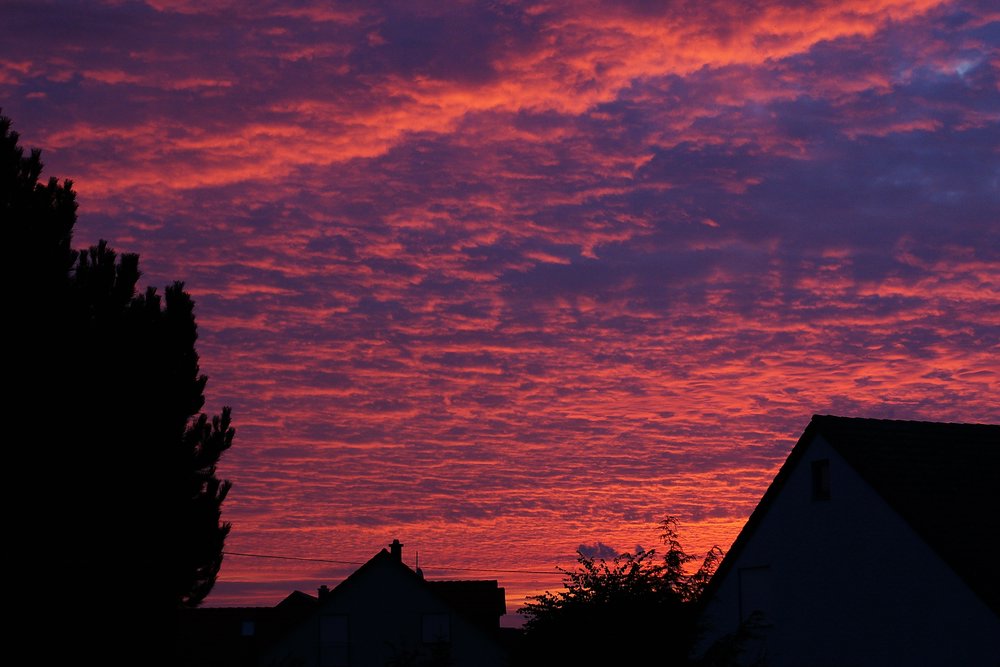 Morgenrot-002.JPG