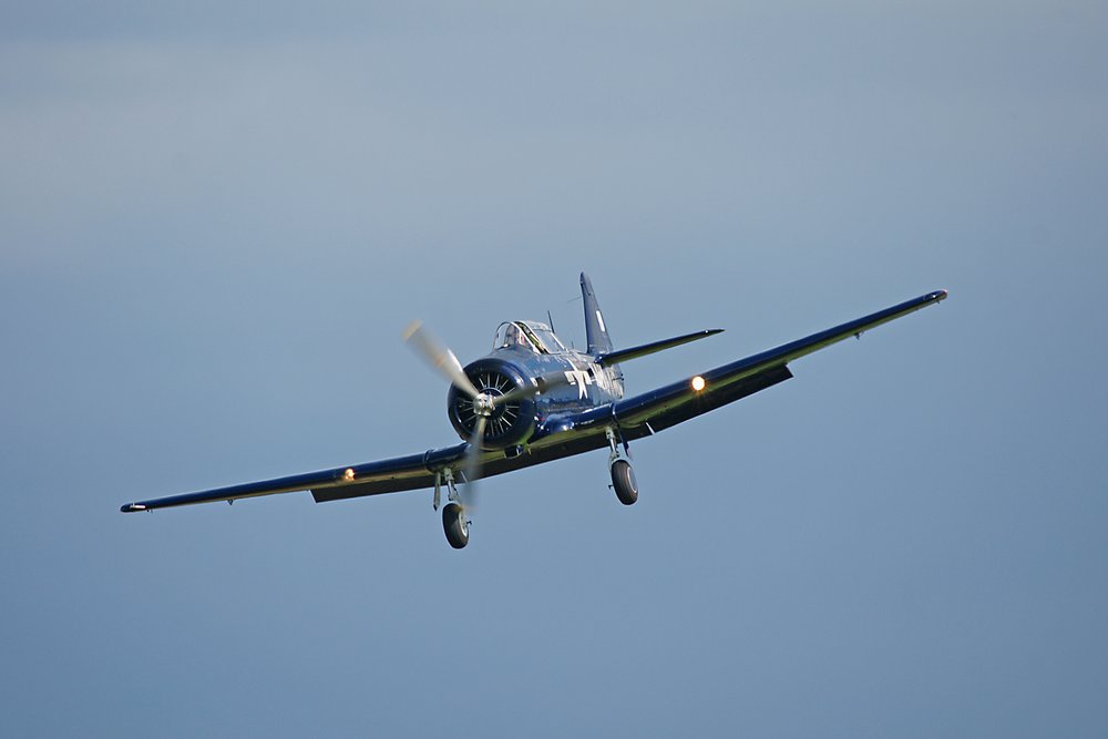 N65930-2.jpg