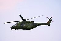 DSC06996.JPG