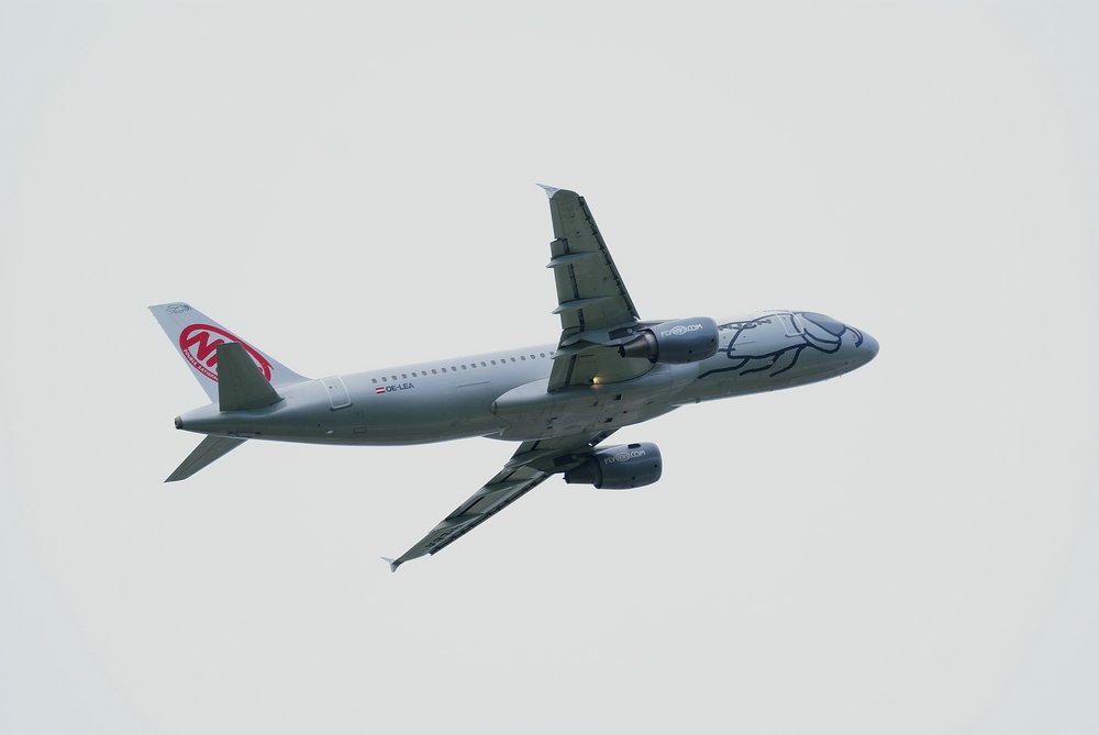 OE-LEA.JPG