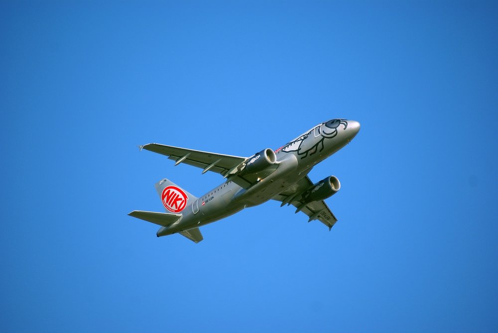 OE-LEK.JPG