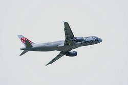 OE-LEA.JPG