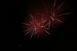 DSC06559-a.jpg
