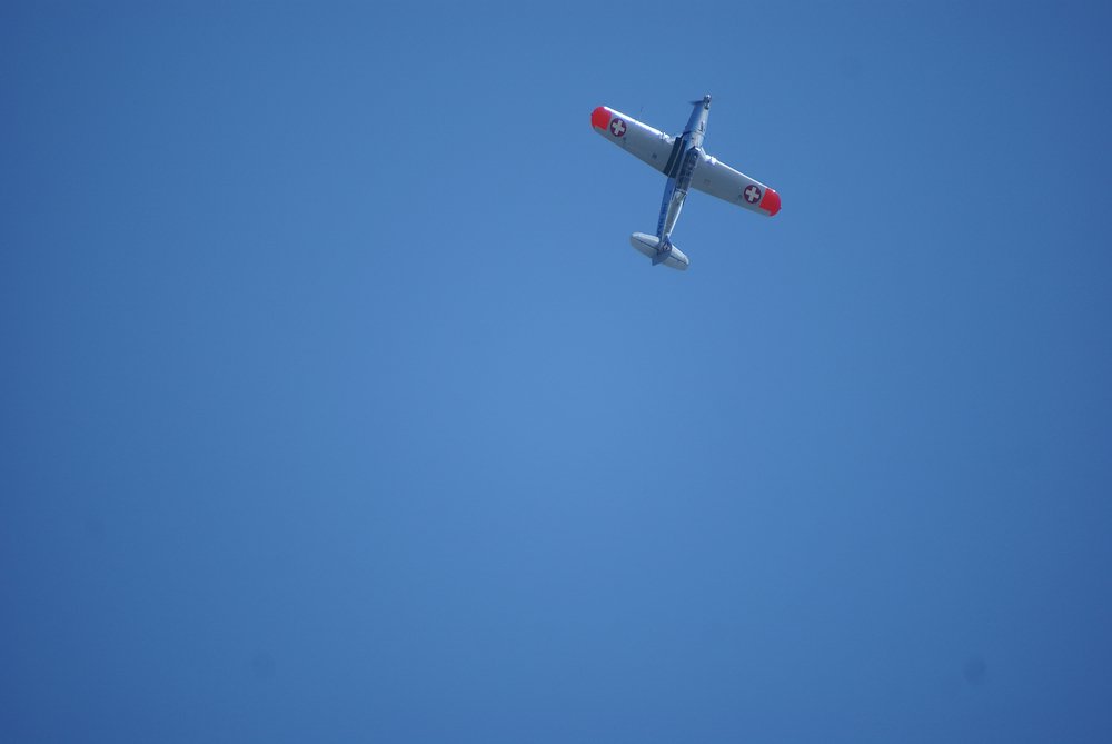 DSC01653.jpg