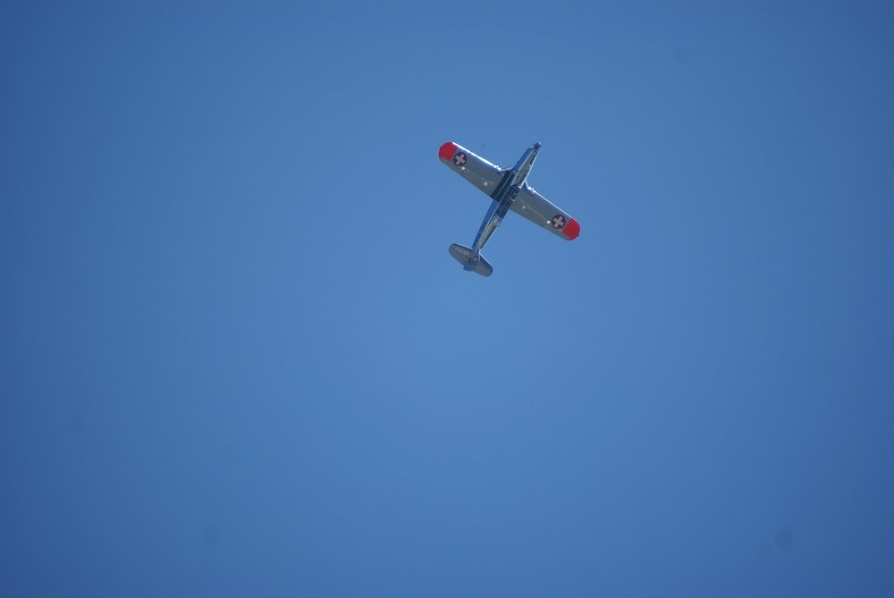 DSC01654.jpg