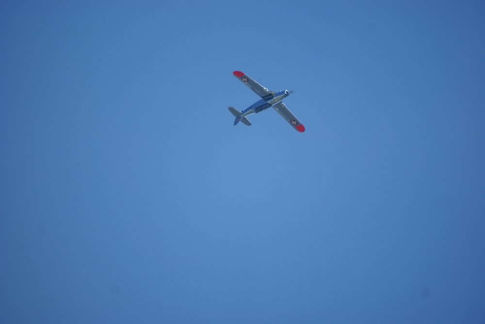 DSC01658.jpg