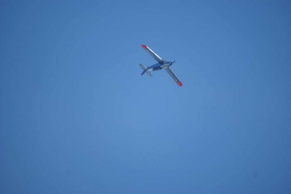 DSC01660.jpg