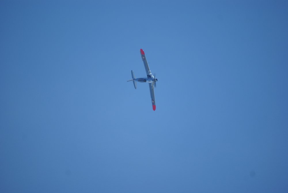 DSC01662.jpg