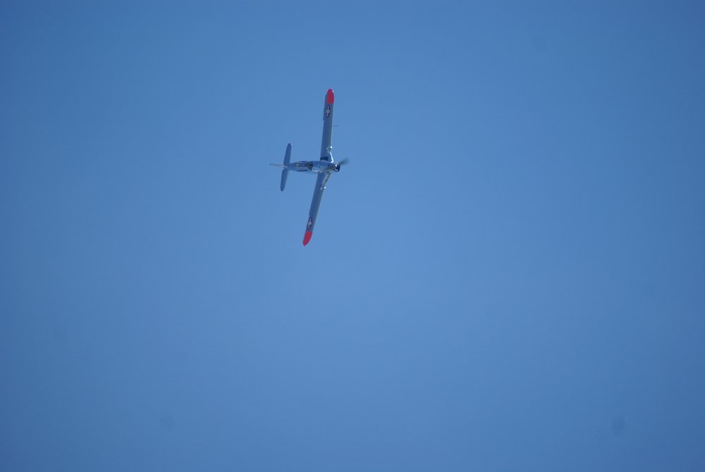 DSC01663.jpg