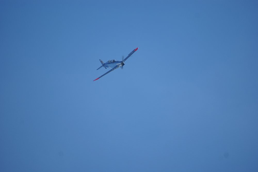 DSC01664.jpg