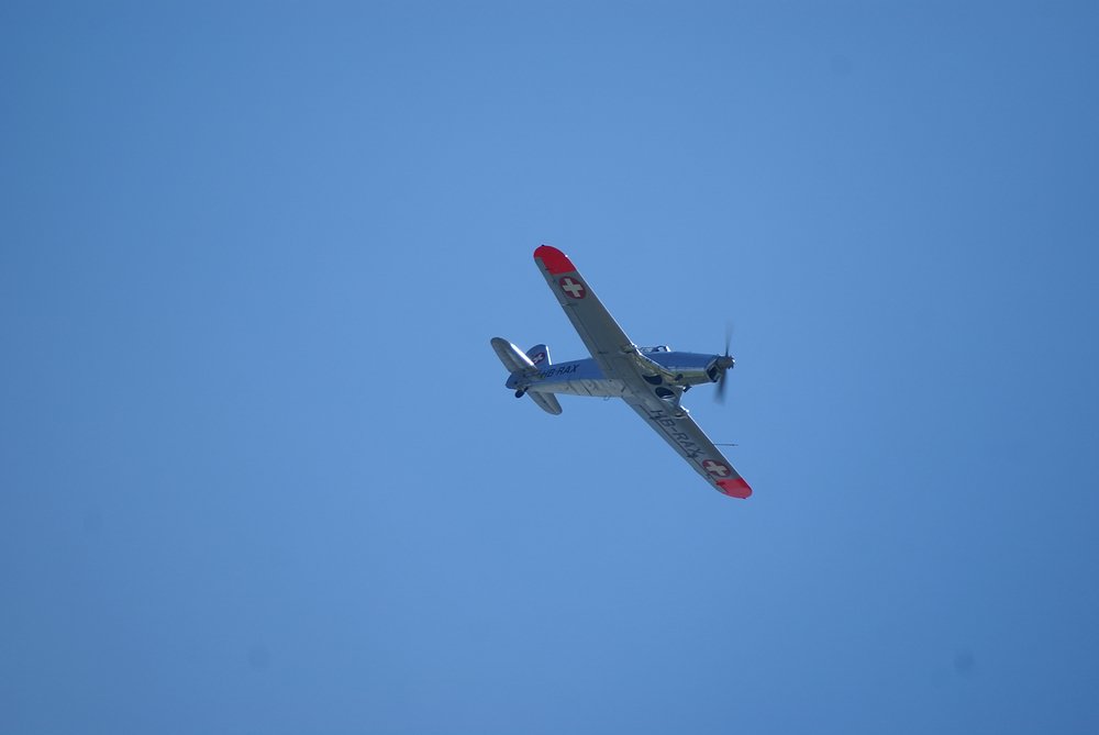 DSC01670.jpg