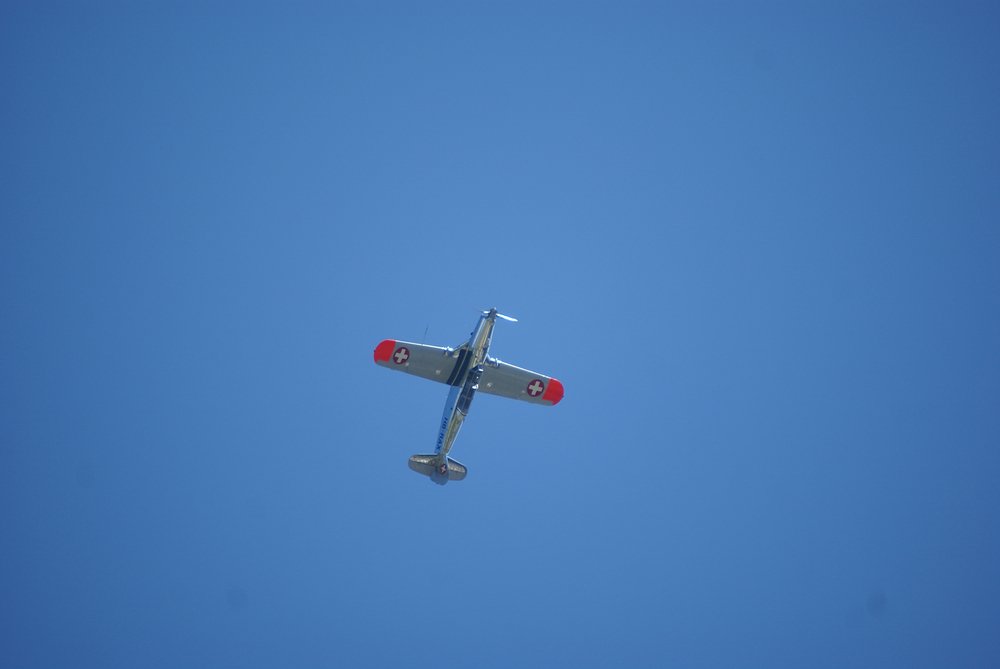 DSC01693.jpg