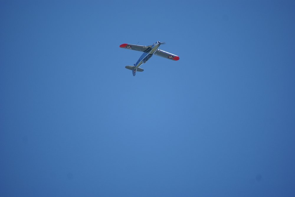 DSC01694.jpg