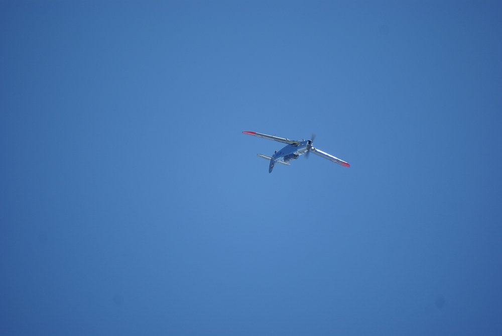 DSC01695.jpg