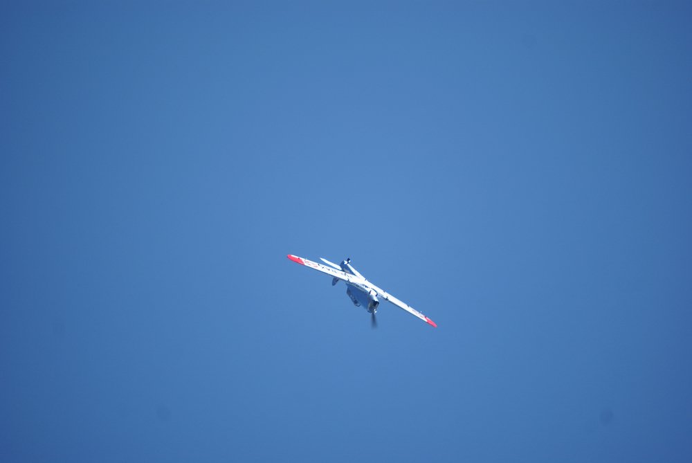 DSC01696.jpg