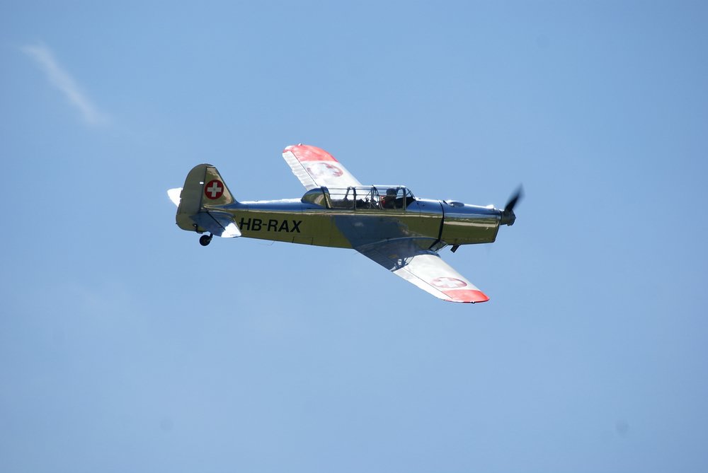 DSC01725.jpg