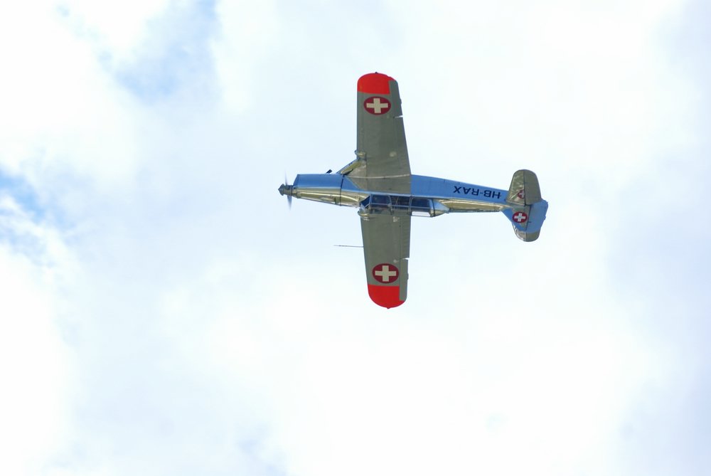DSC01731.jpg