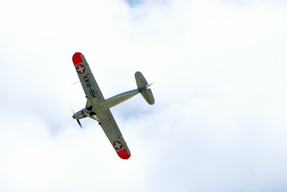DSC01736.jpg