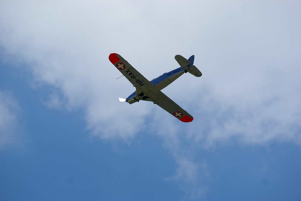 DSC01737.jpg