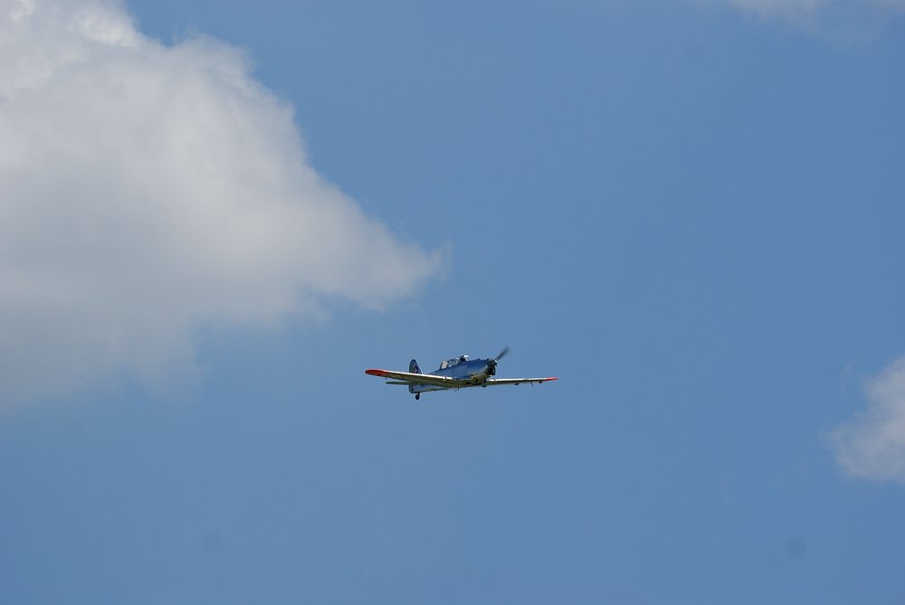 DSC01738.jpg