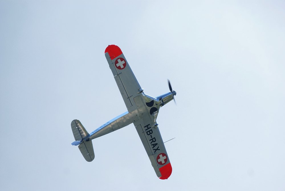 DSC01739.jpg