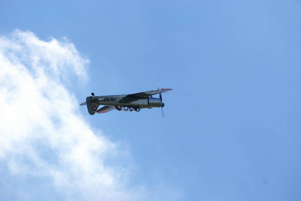 DSC01743.jpg