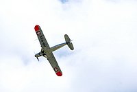 DSC01736.jpg