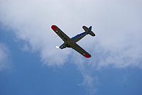 DSC01737.jpg