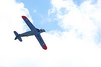 DSC01741.jpg