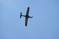 DSC01748.jpg