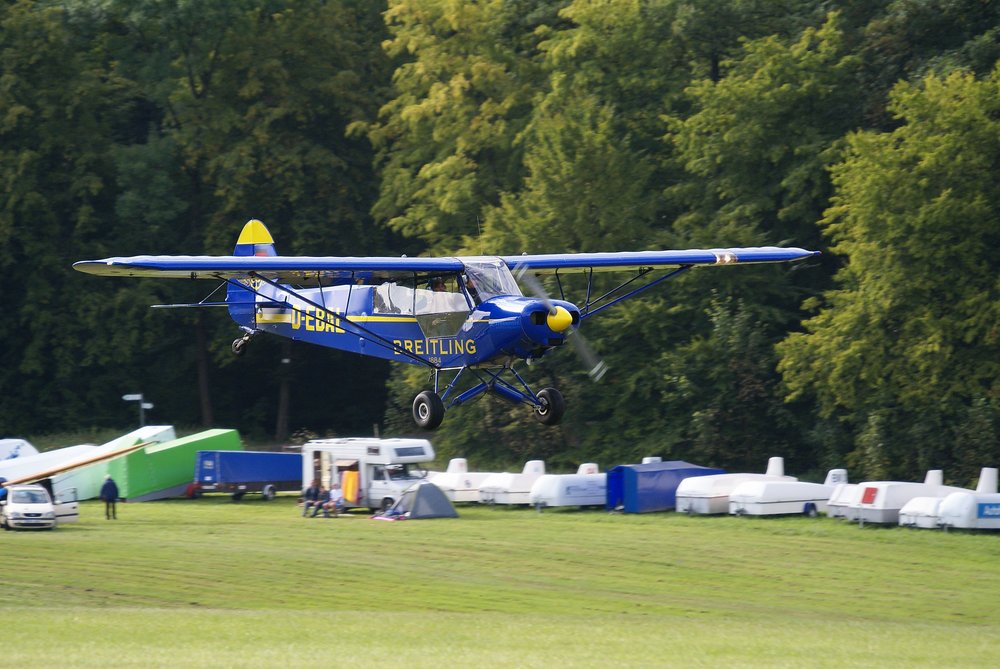 D-EBAL-1.JPG