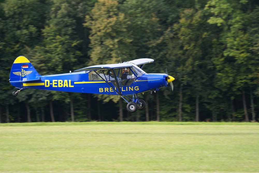 D-EBAL-2.JPG