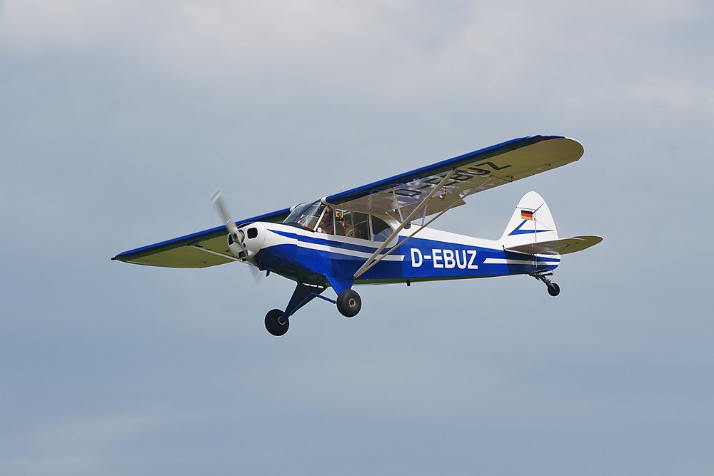 D-EBUZ-1.JPG