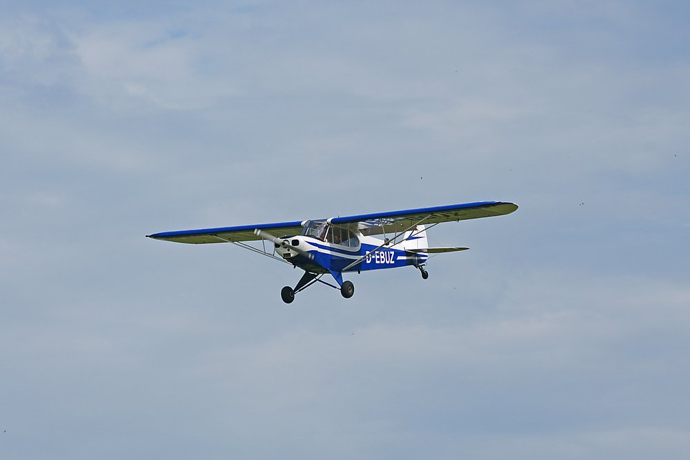 D-EBUZ-2.JPG