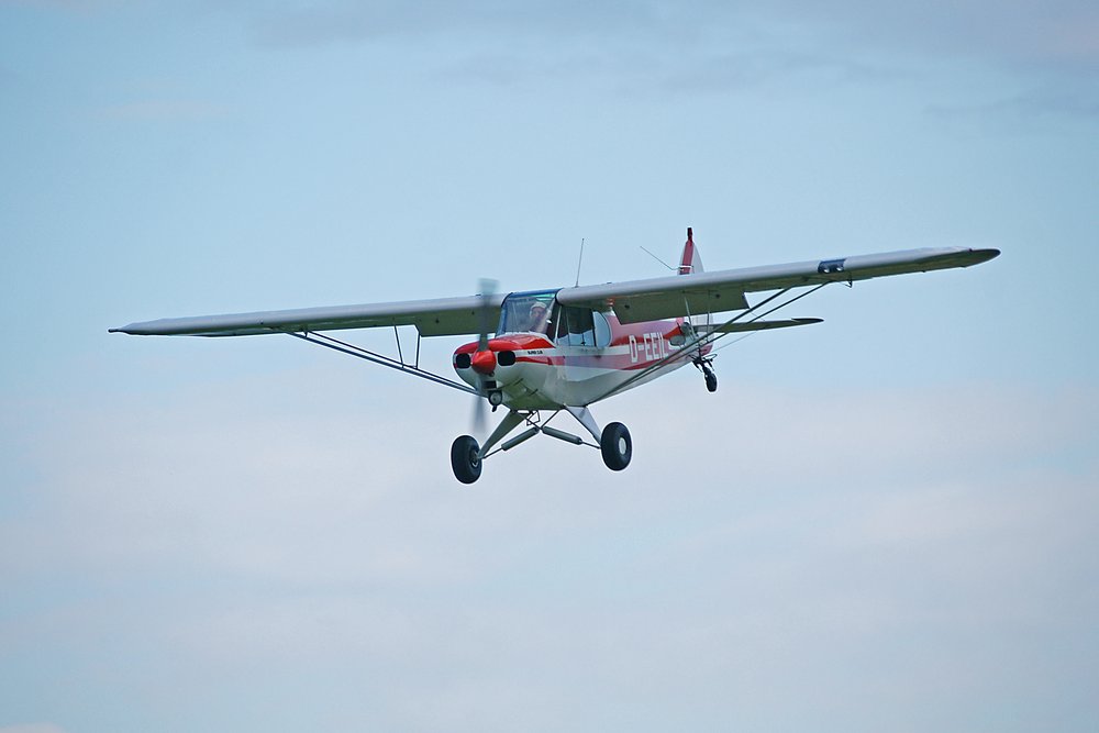 D-EEIL-2.JPG