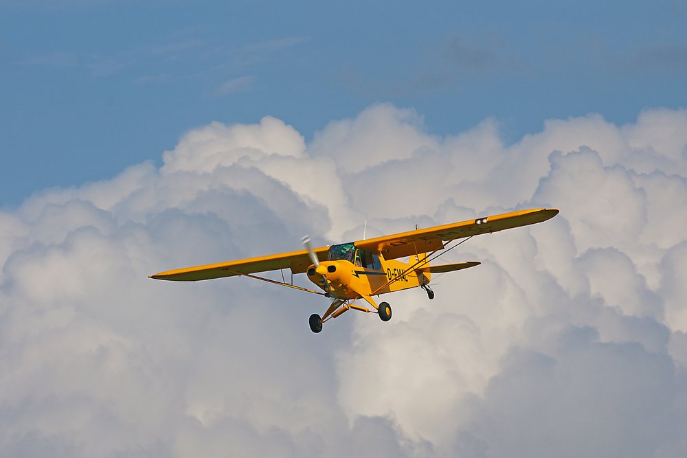 D-EMAL-2.JPG