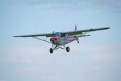 D-EEIL-2.JPG