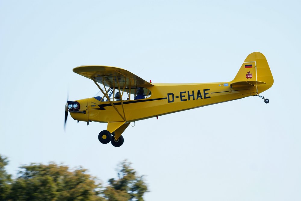 D-EHAE.JPG