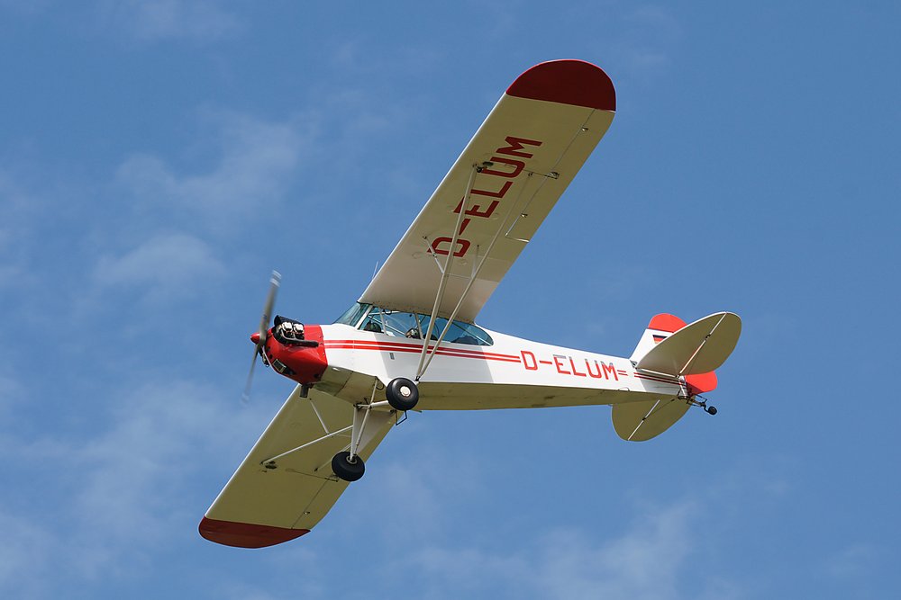 D-ELUM-1.jpg