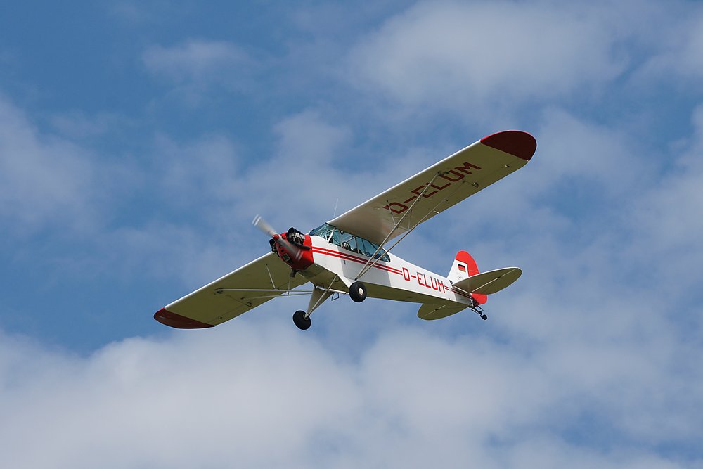 D-ELUM-2.jpg