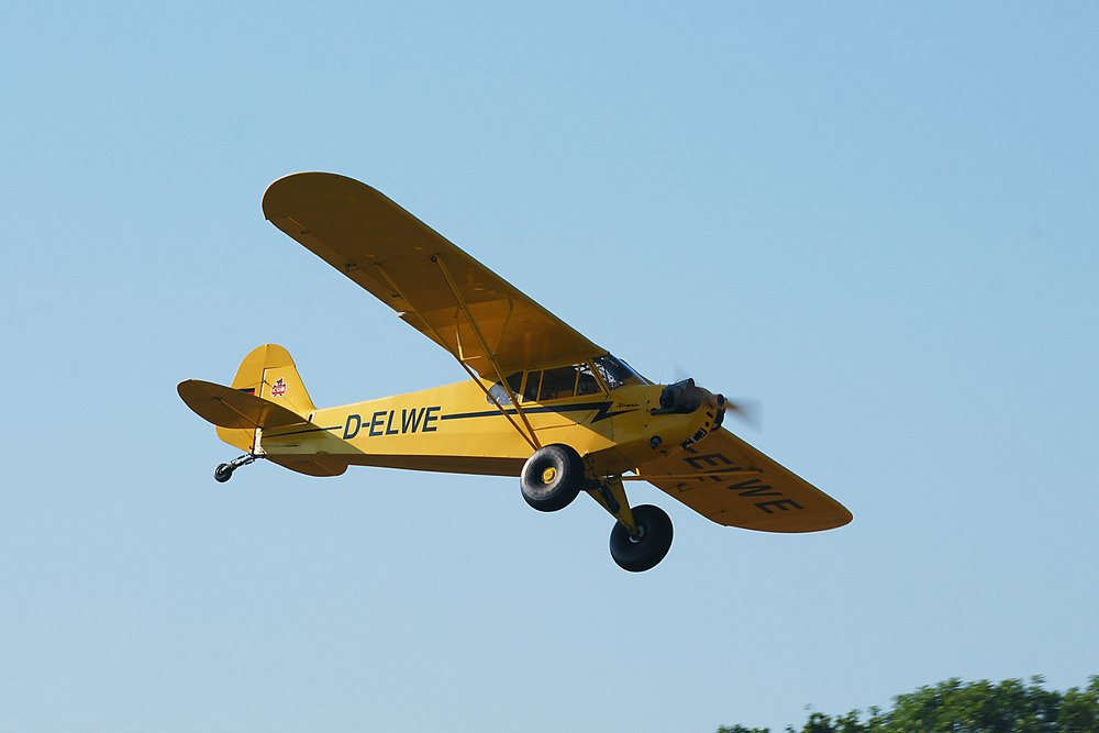 D-ELWE-2.jpg