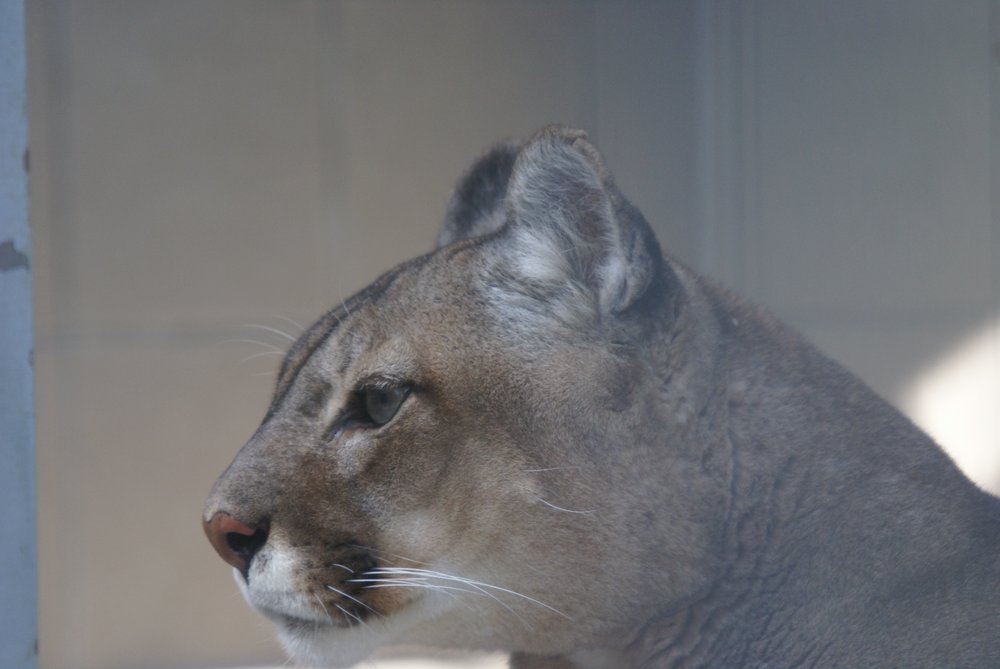 DSC07517.JPG