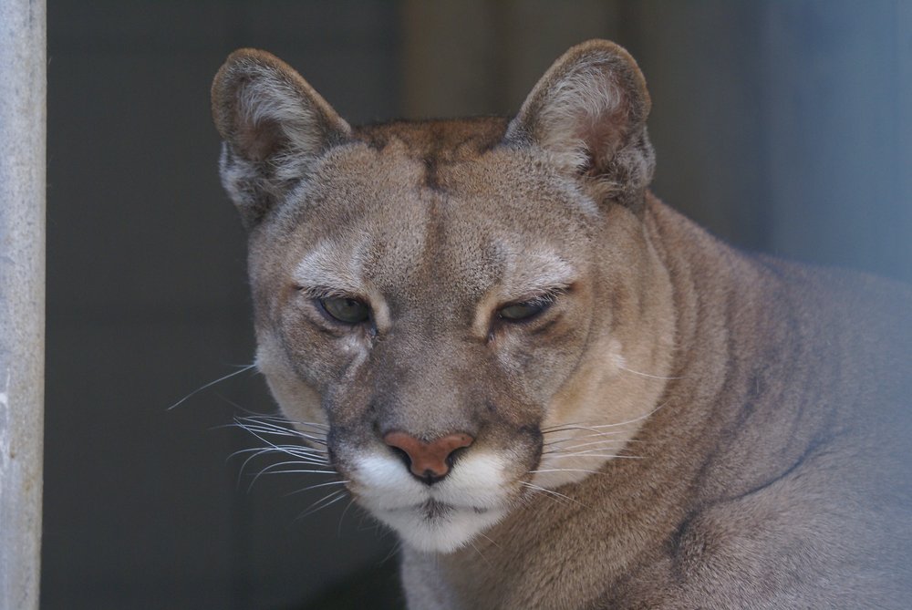 DSC07563.JPG