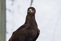 DSC06087.JPG