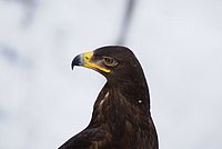 DSC06089.JPG
