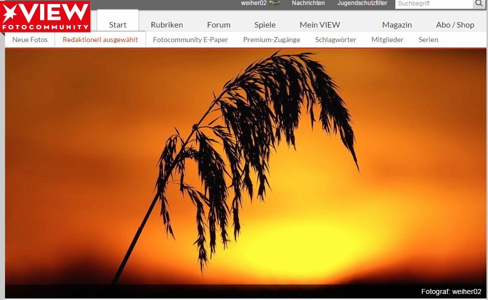 Bild des Tages-005.JPG