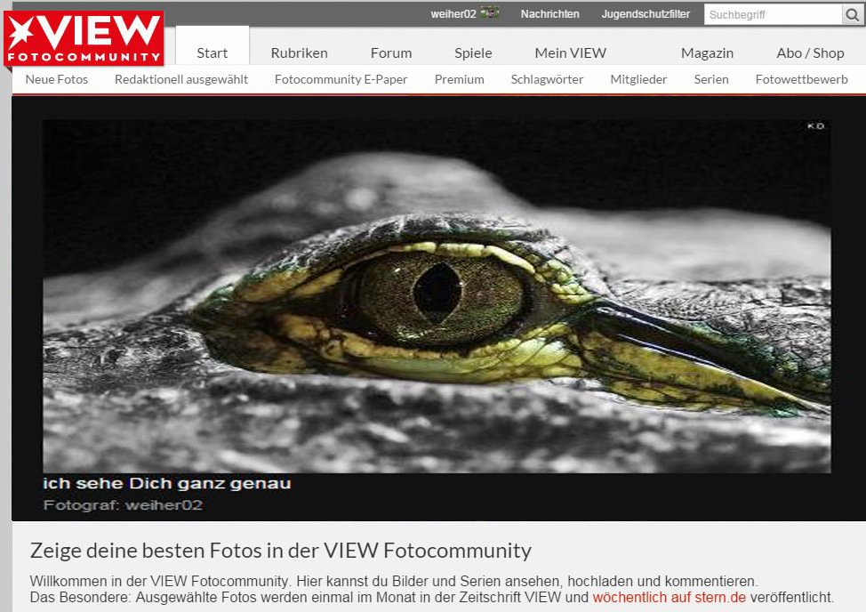 Bild des Tages-030.JPG